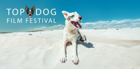 The Top Dog Film Festival is back for a 2022 Australian Tour