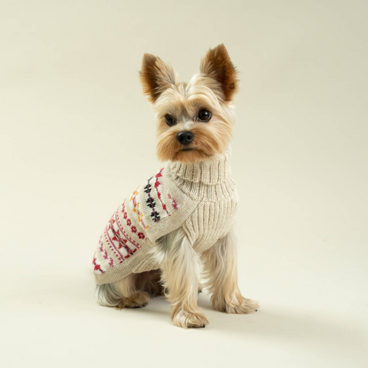 Alqo Wasi Aurora Dog Jumper - DOGUE