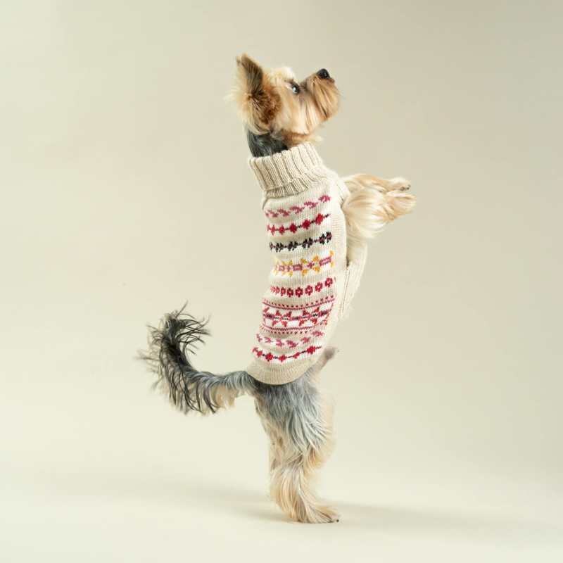 Alqo Wasi Aurora Dog Jumper | Buy Online at DOGUE Australia