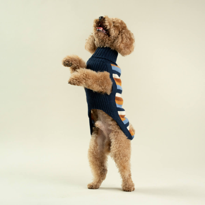 Alqo Wasi Navy Stripes Dog Jumper Lifestyle 