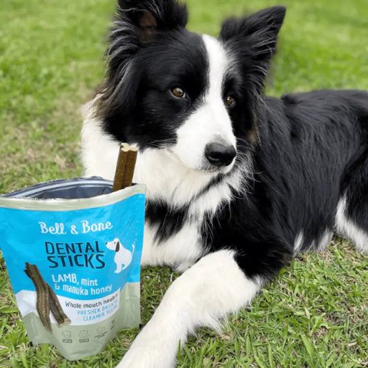 Bell & Bone Dog Dental Sticks Lamb, Mint & Manuka Honey | Buy Online at DOGUE Australia
