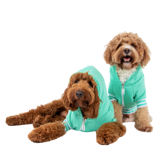 Big & Little Dogs Hoodie Dog Jumpers