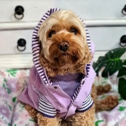 DOGUE Bolster Spring Floral Dog Bed | Buy Online at DOGUE Australia