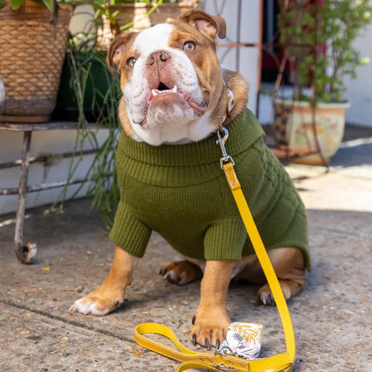 DOGUE Classic Stitch Leather Dog Lead - DOGUE