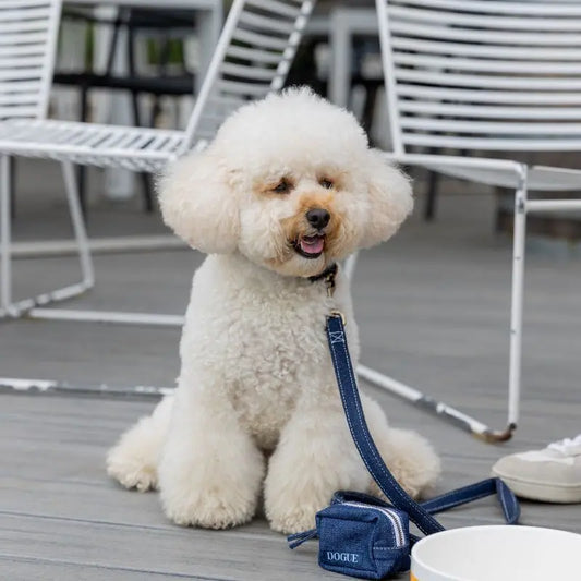 DOGUE Denim Dog Lead - DOGUE