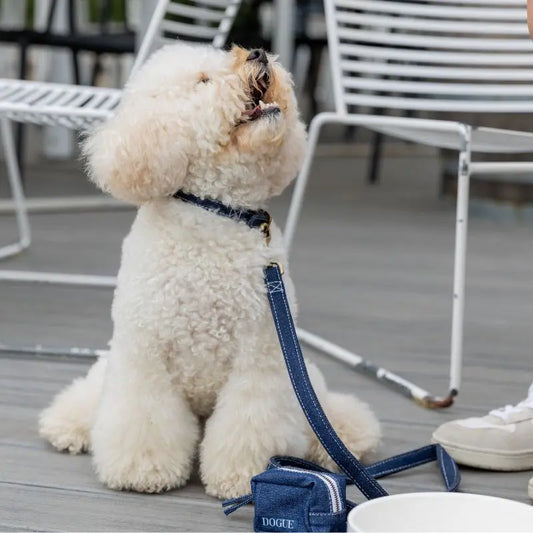 DOGUE Denim Walkwear Set | Buy Online at DOGUE Australia