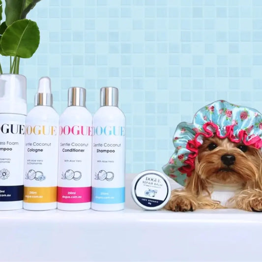 DOGUE Gentle Coconut Dog Cologne - DOGUE