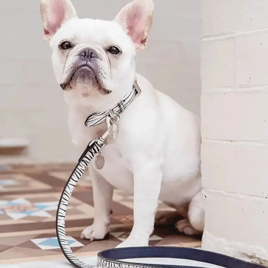 DOGUE Leather Animal Print Dog Lead - DOGUE
