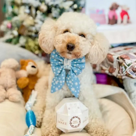 DOGUE Sailor Dog Bow Tie | Buy Online at DOGUE Australia