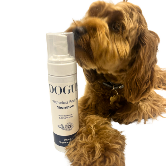 DOGUE Waterless Foam Dog Shampoo - DOGUE