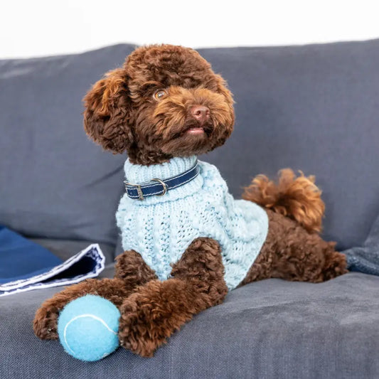 DOGUE Classic Stitch Leather Dog Collar - DOGUE