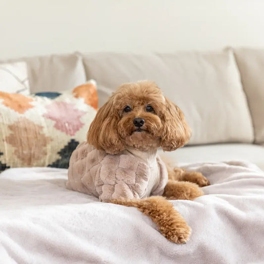 DOGUE Luxe Dog Blanket - DOGUE