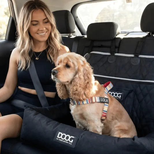 DOOG Dog Car Seat Black | Buy Online at DOGUE Australia