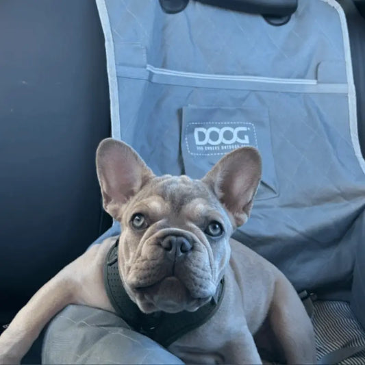 DOOG Dog Car Seat Grey | Buy Online at DOGUE Australia