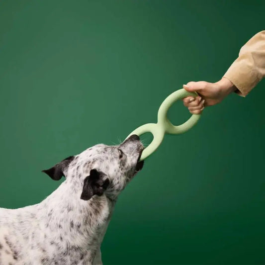Earth Rated Tug Dog Toy - DOGUE