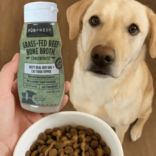 FurFresh Grass-Fed Beef Bone Broth Meal Topper | Buy Online at DOGUE Australia