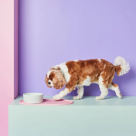 Gummi Silicone Dog Feeding Mat - DOGUE