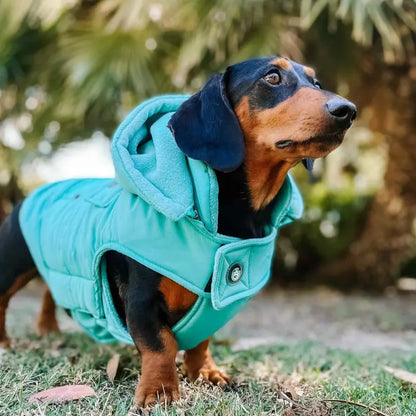 Huskimo Periwinkle Aqua Mt Buller Dog Jacket Lifestyle 