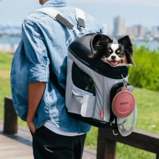 Ibiyaya Collapsible Travel Bowl Pink | Buy Online at DOGUE Australia