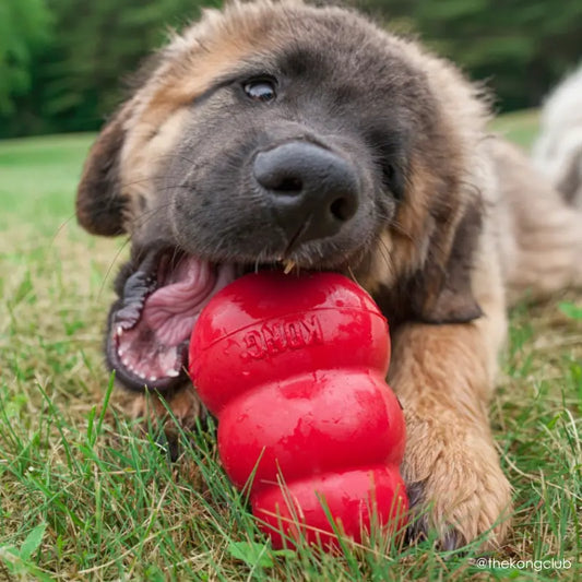 KONG Classic Dog Toy - DOGUE