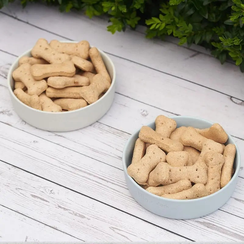 Lilly + Dash Dog Bowl Milk Speckle - DOGUE