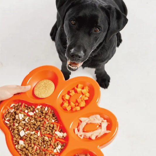 PAW Slow Feeder & Lick Pad Dog Bowl | Buy Online at DOGUE Australia