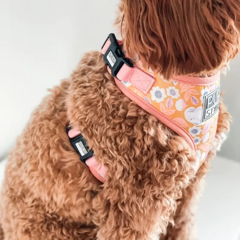 PUPSTYLE summer fling harness up close