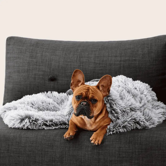 Snooza Calming Cuddler Dog Blanket Silver Fox (Copy) | Buy Online at DOGUE Australia