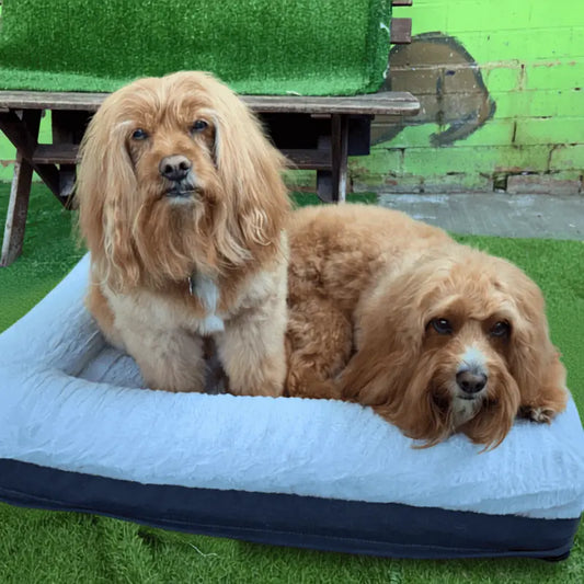 Snuggle Pals Supreme Lounge Dog Bed Grey | Buy Online at DOGUE Australia