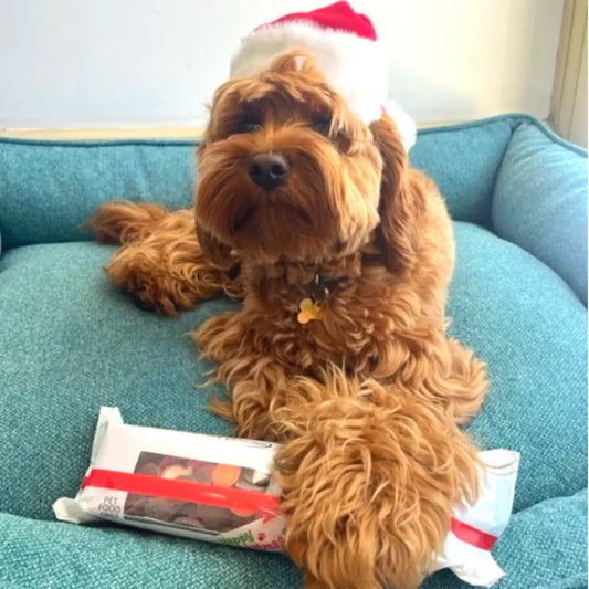 Christmas Dog Lolly Tray