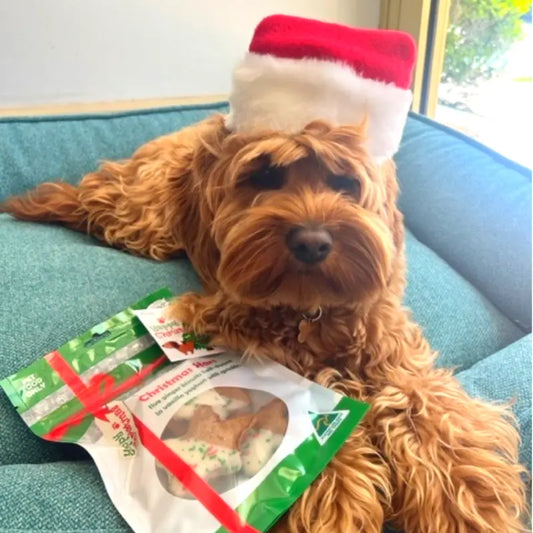 WAGALOT | Christmas Stars 5-pack | Buy Online at DOGUE Australia