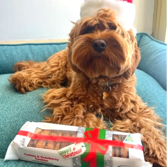 Turkey and Cranberry Dog Cookies