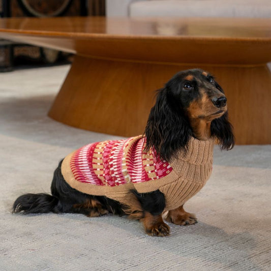 Alqo Wasi Alpaca Dog Jumper Ice Magic Cherry - DOGUE