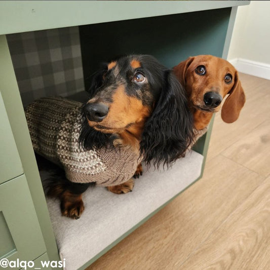 Alqo Wasi Alpaca Dog Jumper Harmony Natural - DOGUE