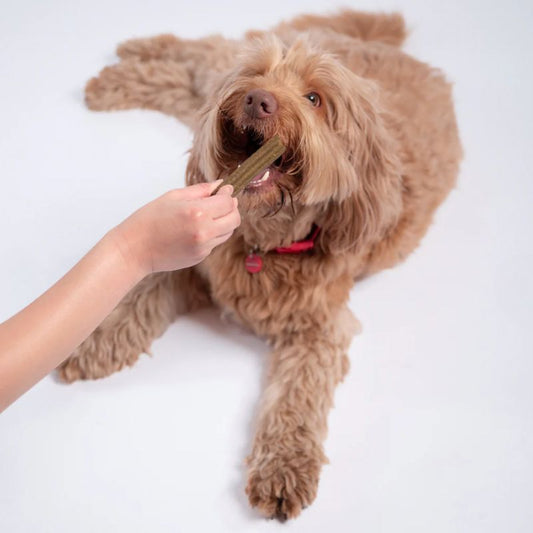 Bell & Bone Dog Dental Sticks Chicken, Mint & Seaweed - DOGUE