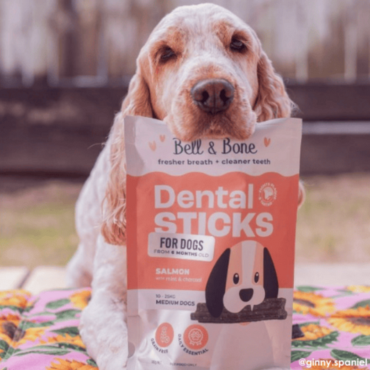 Bell & Bone Puppy Dental Chews Salmon & Carrot - DOGUE