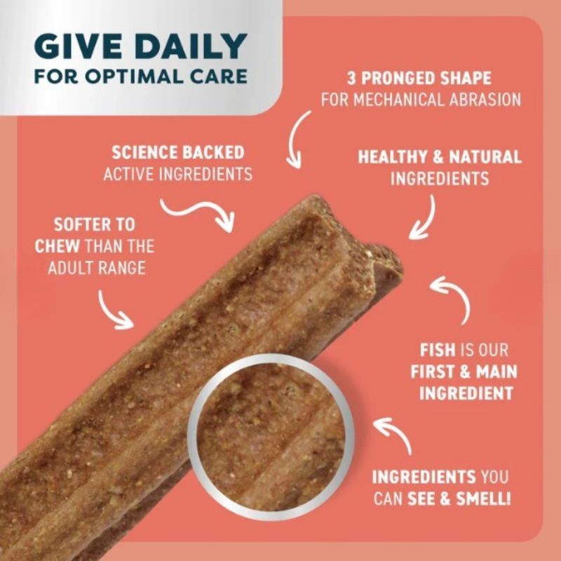 Bell & Bone Puppy Dental Chews Salmon & Carrot - DOGUE