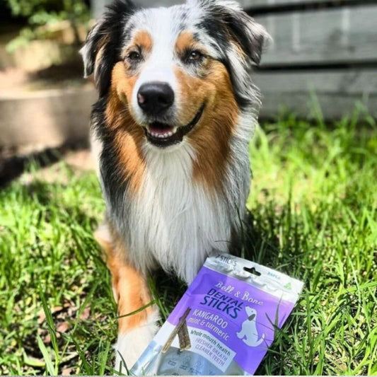 Bell & Bone Dog Dental Sticks Roo, Mint & Turmeric - DOGUE