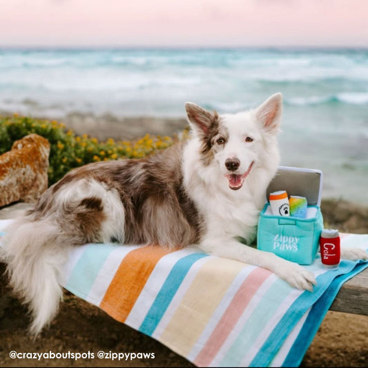 ZippyPaws Burrow Ice Chest Dog Toy - DOGUE