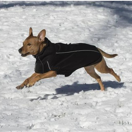 DGS Olympia Soft Shell Dog Jacket Black