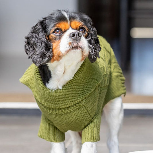 Fit 'n' Flash Kangaroo Fillet Dog Treat 120g - DOGUE