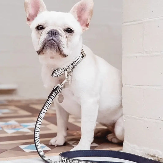 DOGUE Leather Animal Print Dog Lead - DOGUE