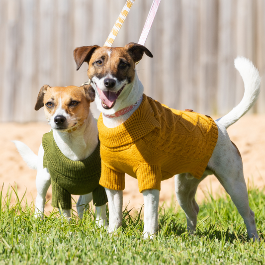 DOGUE Classic Cardi Knit Dog Jumper - DOGUE