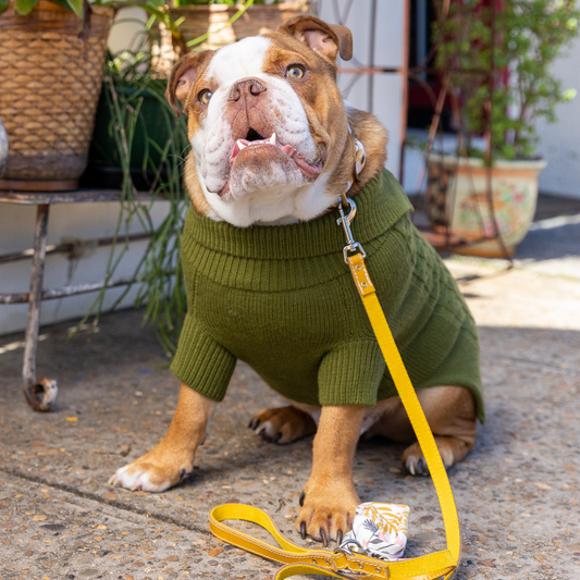 DOGUE Classic Stitch Leather Dog Lead - DOGUE