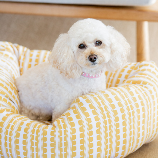 DOGUE Bolster Coastal Chic Dog Bed - DOGUE