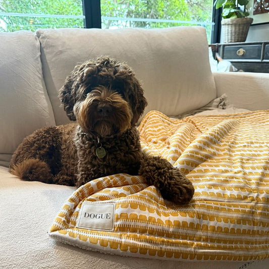 DOGUE Coastal Chic Dog Blanket Mustard | Buy Online at DOGUE Australia