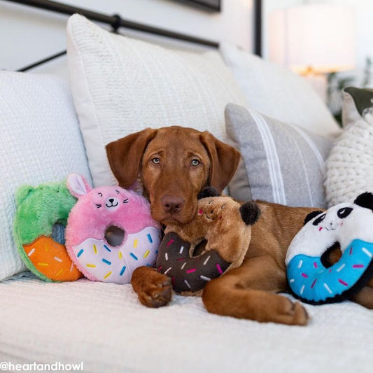 ZippyPaws Donutz Buddies Bunny Dog Toy