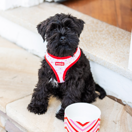 DOGUE Floral Dog Harness - DOGUE