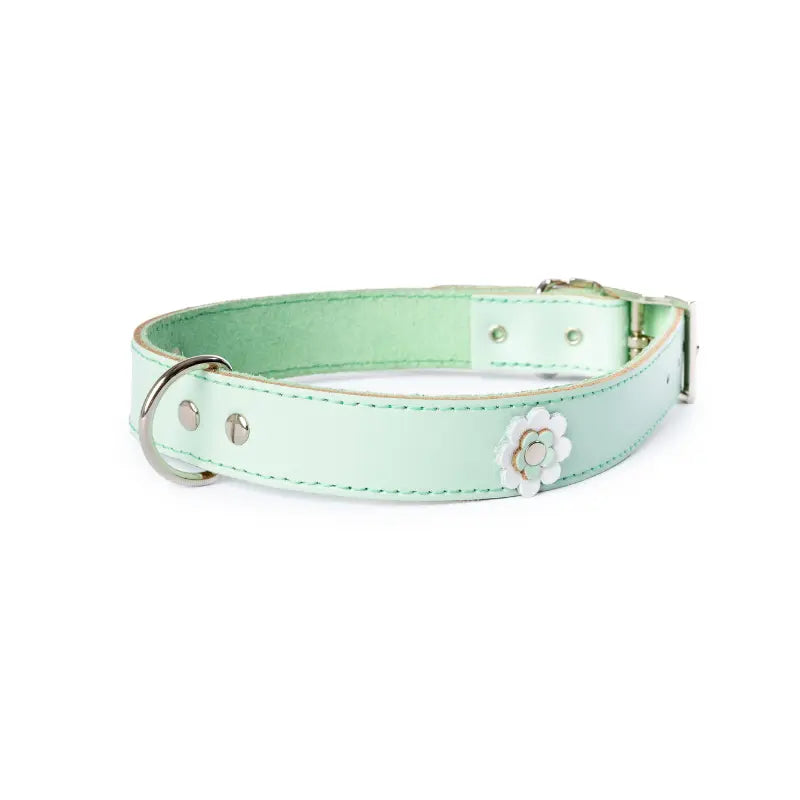 DOGUE Gelato Flower Dog Collar - DOGUE