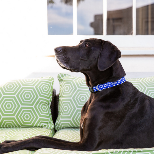 DOGUE Geometric Dog Collar - DOGUE